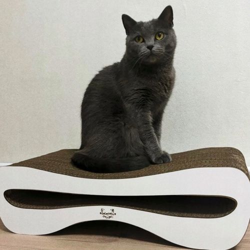 Drapak dla kota kartonowy 51x25x14 MONO ADELECAT DUŻY LEGOWISKO NISKI na Arena.pl