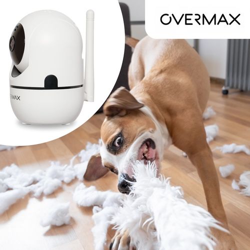 KAMERA DLA PSA KOTA DO OBSERWACJI MONITORING DOMU APLIKACJA Karta SD GRATIS na Arena.pl