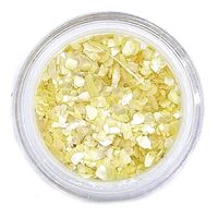 Płatki muszli kruszonej do paznokci ozdoby do hybrydy żelu CS03