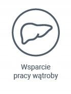 Vetexpert Hepatiale Forte Large Breed 40 kaspułek na Arena.pl