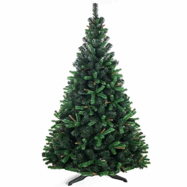 CS/JODŁA/WIERA/180 zdjęcie 1