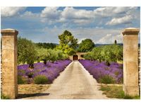 60X40CM DROGA PROWANSJI OBRAZ