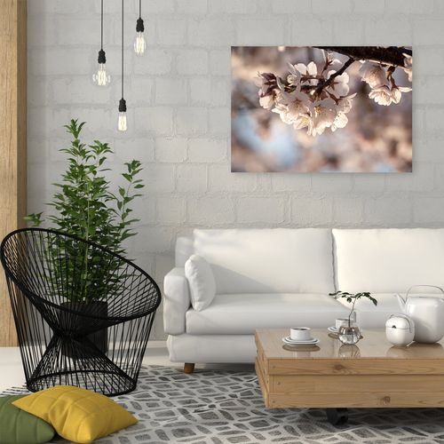 Obraz na płótnie – Canvas, kwitnąca wiśnia 60x40 na Arena.pl
