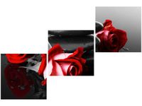 OBRAZ RÓŻE TLE KAMIENI AKCENT KOLORYSTYCZNY