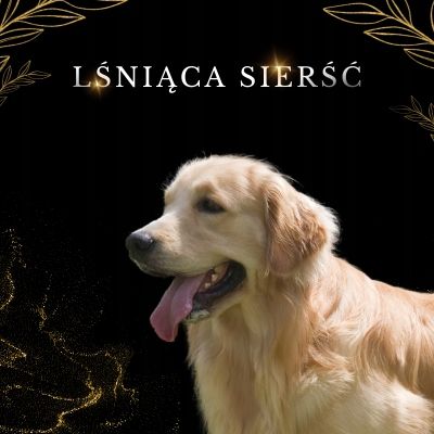 LAB V Olej z łososia z zawartością witamin 250ml na Arena.pl