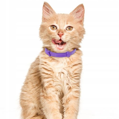 Obroża na pchły i kleszcze dla kota w wieku 8 miesięcy 32 CM na Arena.pl