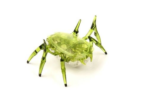HEXBUG Skarabeusz na Arena.pl