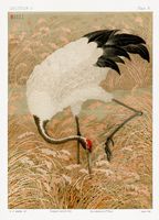 Plakat 13x18cm Żuraw w Japońskim Stylu, G.A. Audsley do Salonu