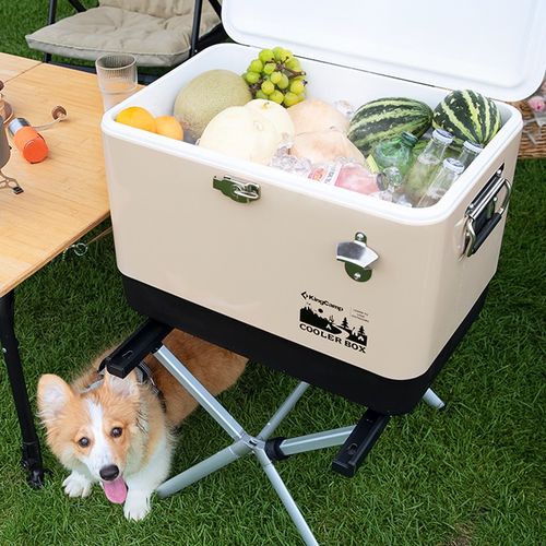 Lodówka KING CAMP Cooler Box 51 litrów na Arena.pl