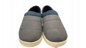 Męskie kapcie Toms Ezra r.42