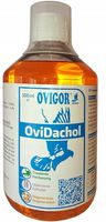 OviDachol dla gołębi wątroba nerki Ovigor 500ml