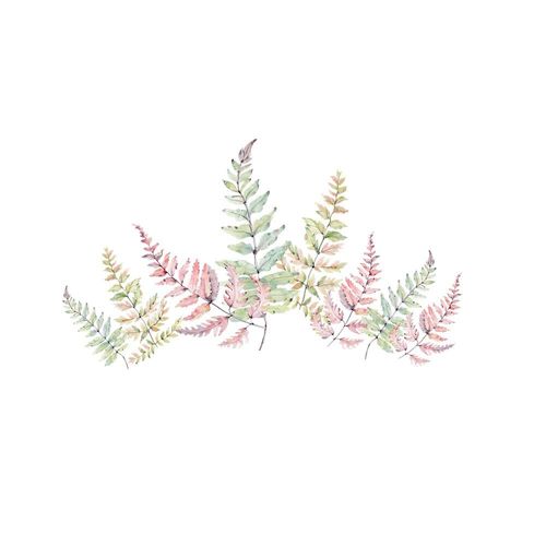 Naklejki Paprocie DK383 na Arena.pl