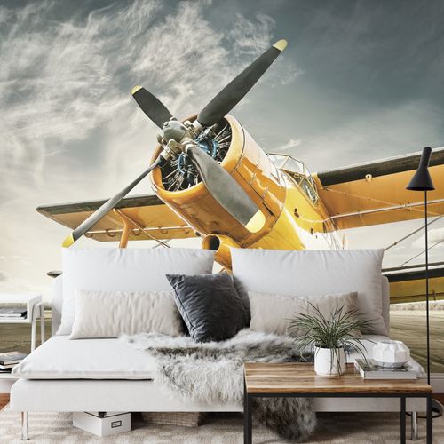 Fototapeta Zabytkowy Samolot Flizelina 400x280 na Arena.pl