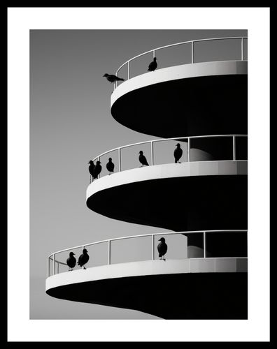 Plakat 30x40cm Krucze Odcienie na Arena.pl