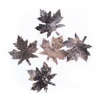 LIŚCIE KLONOWE Z KORY 5 SZT DPZA-084 DP CRAFT