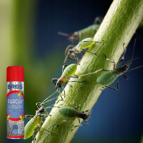 bros - parcan ae zwalcza mszyce spray 400ml na Arena.pl