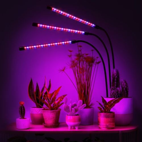 lampa led do wzrostu roślin 60 diod timer 24 w uprawa roślin do domu na Arena.pl