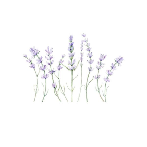 Naklejka Lawenda DK387 zdjęcie 3