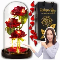 WIECZNA RÓŻA W SZKLE LED ŚWIECĄCA NA BATERIE + KABEL USB PREZENT WALENTYNKI