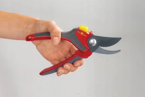 WOLF GARTEN SEKATOR DWUOSTRZOWY RR 4000 na Arena.pl