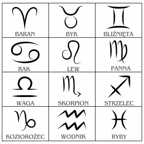 BRANSOLETKA SREBRNA DAMSKA REGULOWANA NA RĘKĘ KOLIBER SERCE + GRAWER na Arena.pl