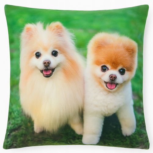 Poszewka Dekoracyjna 45x45 Zwierzęta Koty Psy - Miękka, Welurowa WZORY na Arena.pl