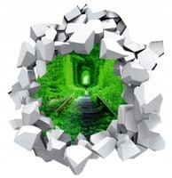 Naklejka samoprzylepna dziura 3D dzika przyroda