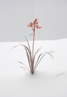 product-compare-59356754