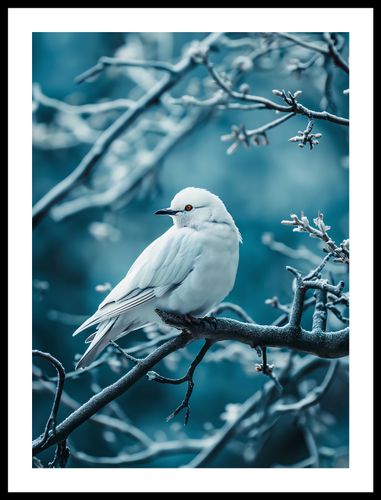 Plakat 40x55cm Perłowy Ptak na Arena.pl