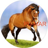 Opłatek na tort KONIE Koń Mustang Konik Kuc Urodziny Tekst Gratis