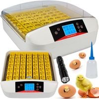 product-compare-50956837