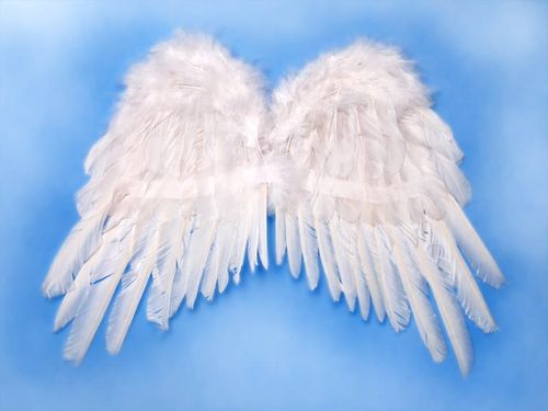Skrzydła anioła, biały, 53 x 37cm na Arena.pl