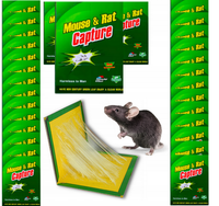 LEP NA MYSZY SILNA PUŁAPKA NA SZCZURY GRYZONIE MYSZOŁAPKA KLEJ ŁAPKA 30x