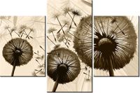 product-compare-58699963