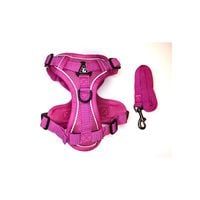 Szelki Guard dla małych psów + smycz, rozmiar mini L, różowe