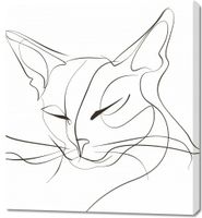 product-compare-59509976