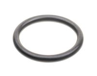 Uszczelka O-Ring Króćca Gaźnika B&S Classic Sprint I Series 450 Ohv Ro158