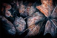 Tło PRODUKTOWE kulinarne Flat Lay na bloga insta