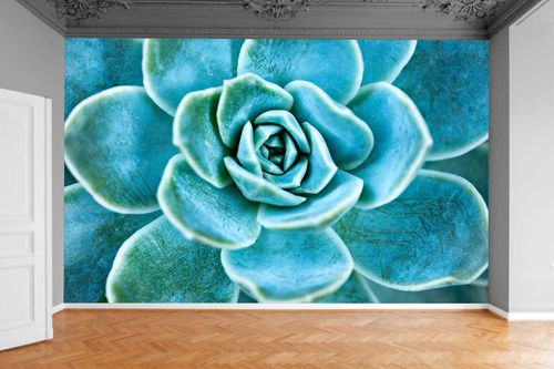 Fototapeta RUBINOWY NEONOWY KWIAT 200x130 na Arena.pl