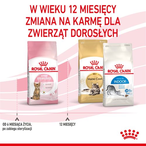 royal canin kitten sterilised 2kg na Arena.pl