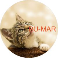 Opłatek na tort KOT Kotek Kotki Kiciuś Kocur Miluśiński Tekst Gratis