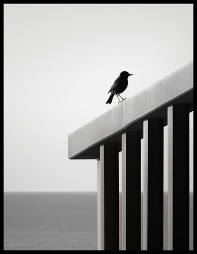 Plakat 50x65cm Samotna Odchłań na Arena.pl