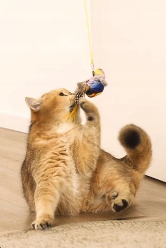 ZABAWKA DLA KOTA PRZYSSAWKA NA DRZWI RUCHOMA PTAK na Arena.pl