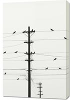 Obraz 60x90cm Symfonia na Drutach