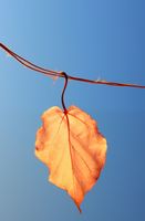 product-compare-59357722