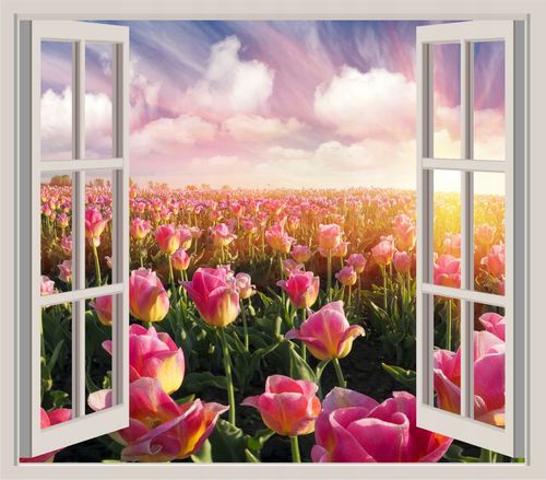 FOTOTAPETA 3D OKNO widok ocean delfiny woda morze na Arena.pl