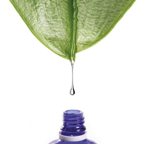 OMEGA 3 W PŁYNIE olej lniany i witamina E Suplement Diety NUION 50ml na Arena.pl