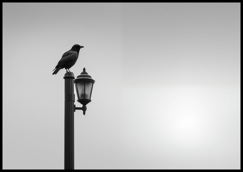 Plakat 100x70cm Samotny Postój Kruka zdjęcie 2