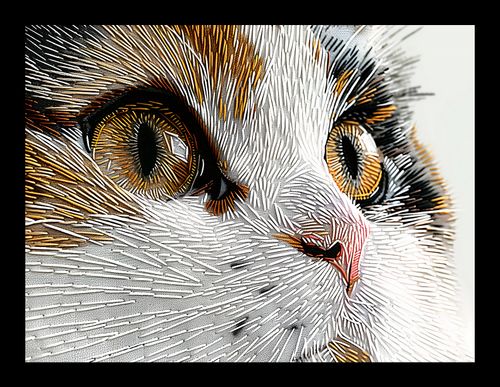 Plakat 20x15cm Nitkowany Kot na Arena.pl