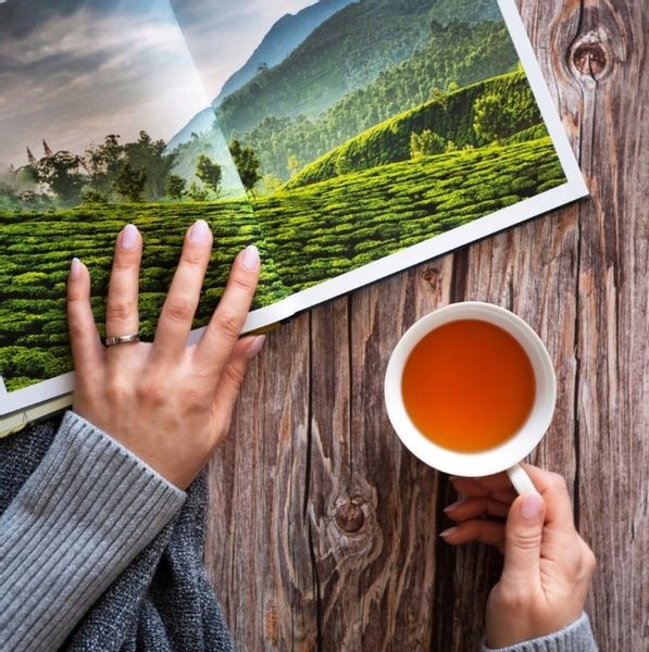 Herbata zielona Basilur Sencha Classics Ceylon - 100 x 1,5 g zdjęcie 13